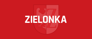 zielonka_test